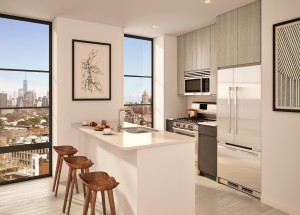 Brooklyn Luxury Apartment Kitchen