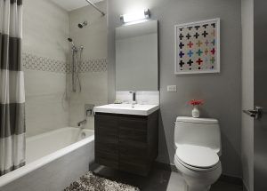 Brooklyn Apartments Bathroom